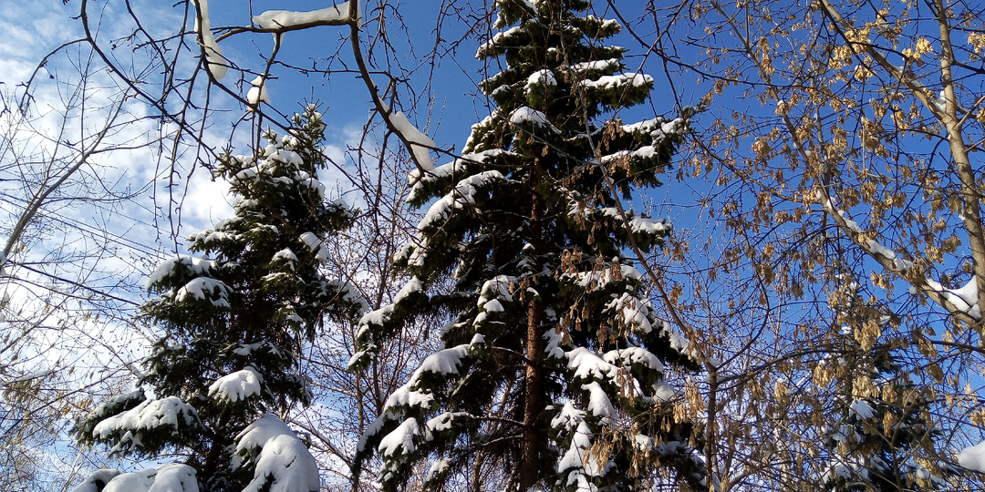 Осторожно: мошенники. Вчера меня пытались развести. Еле устояла