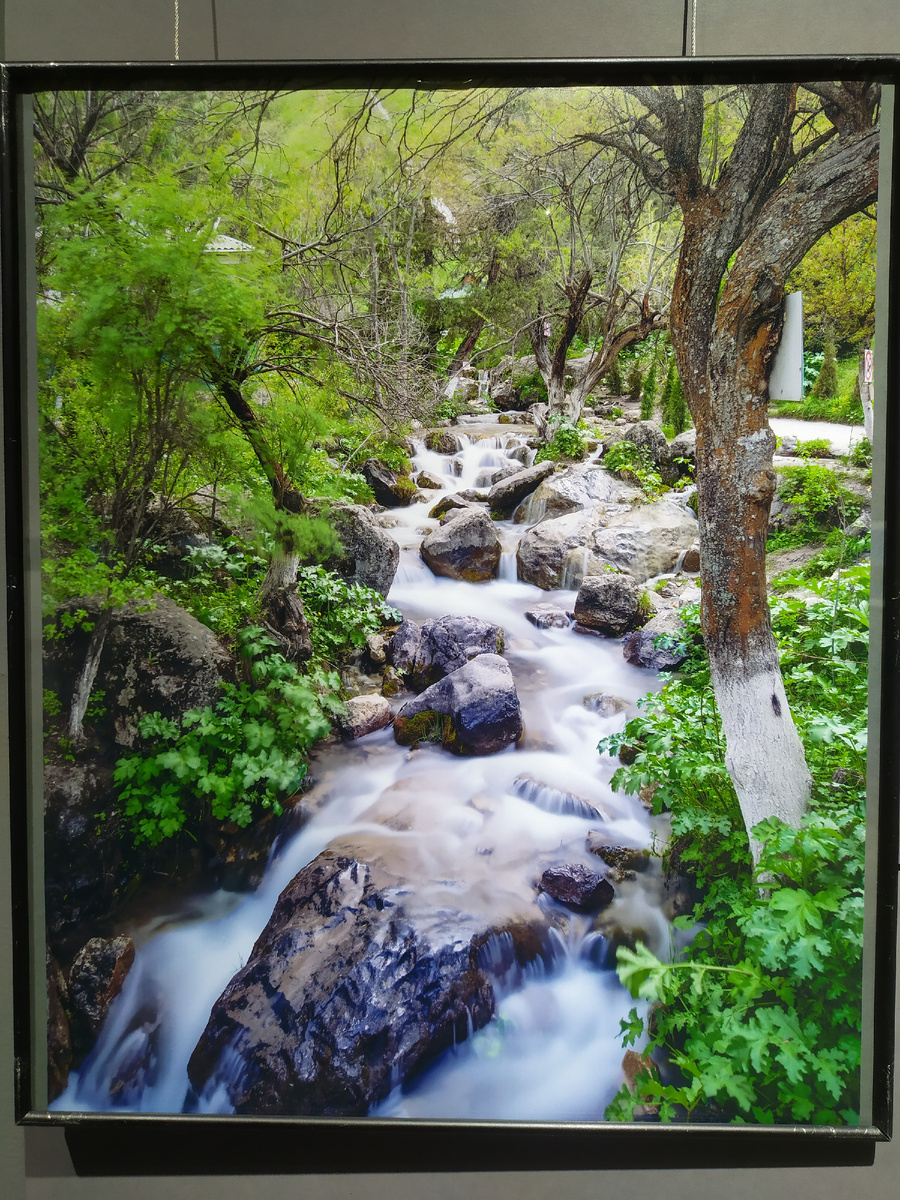 Фото автора.