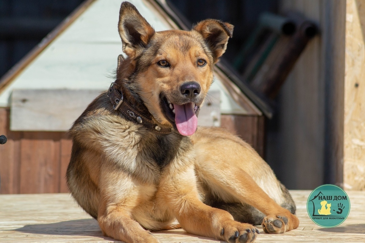 Тот самый Майбах, на операцию которому скидывались челябинцы