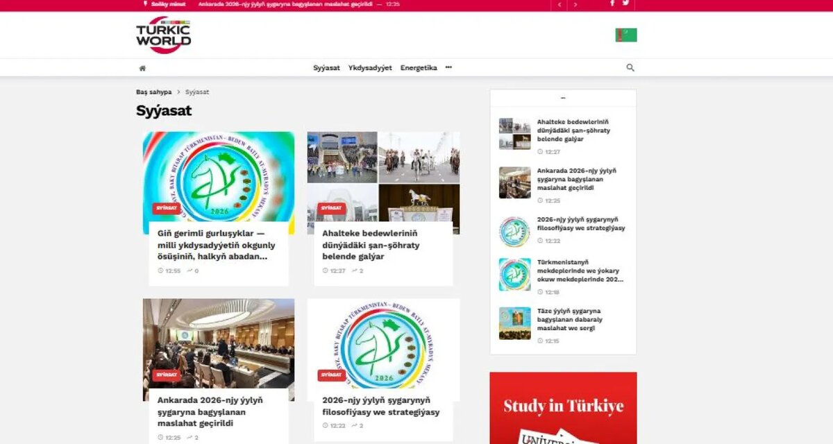    Цветокоррекция оригинального изображения была произведена с использованием ИИ "Ниязов 2.0"