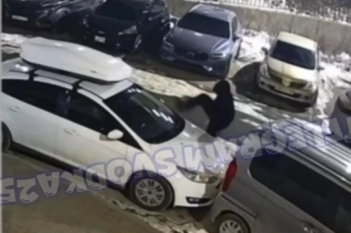    Мужчина на стоянке во Владивостоке разбил машины, полиция начала проверку