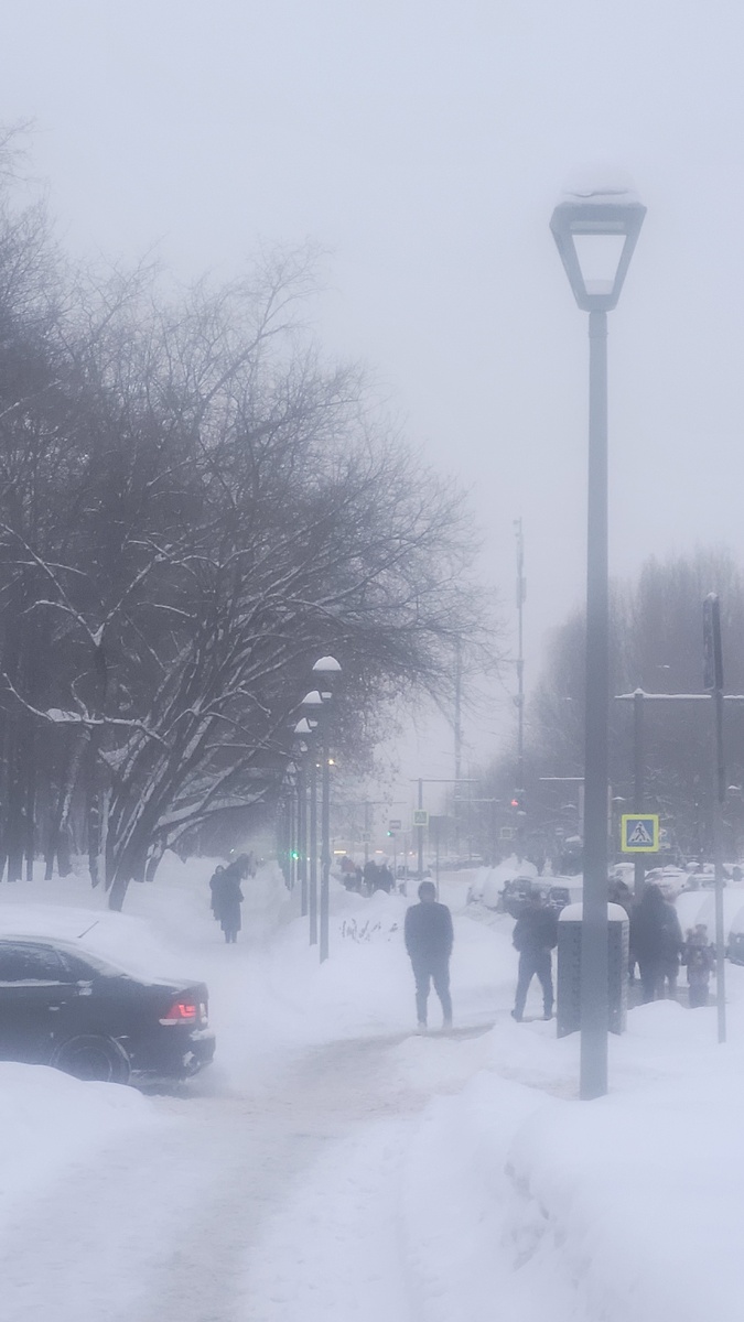 Зима в Москве в этом году удалась прямо... Настоящая... (фото из личного архива)...