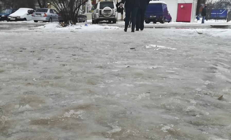 Фото автора