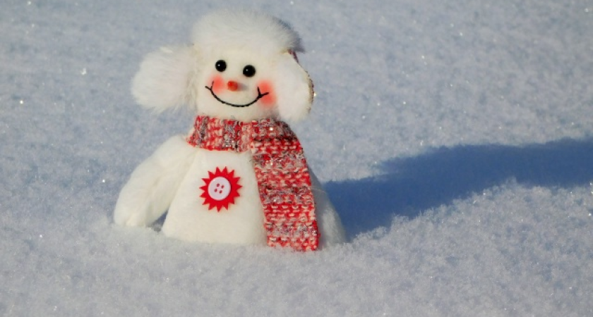    Фото из архива Pro Города