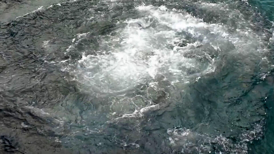 Фото: © Кадр из программы "Невероятно интересные истории", РЕН ТВ