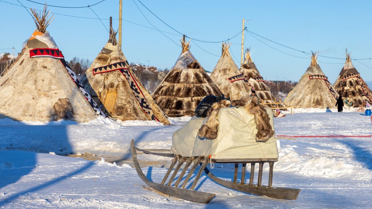    Фото: Федор Воронов / «Ямал-Медиа»