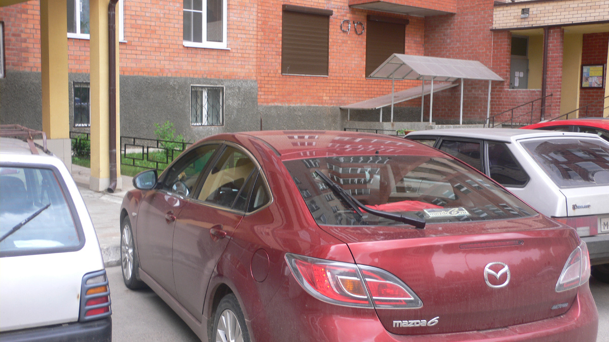 Ласточка накануне отъезда