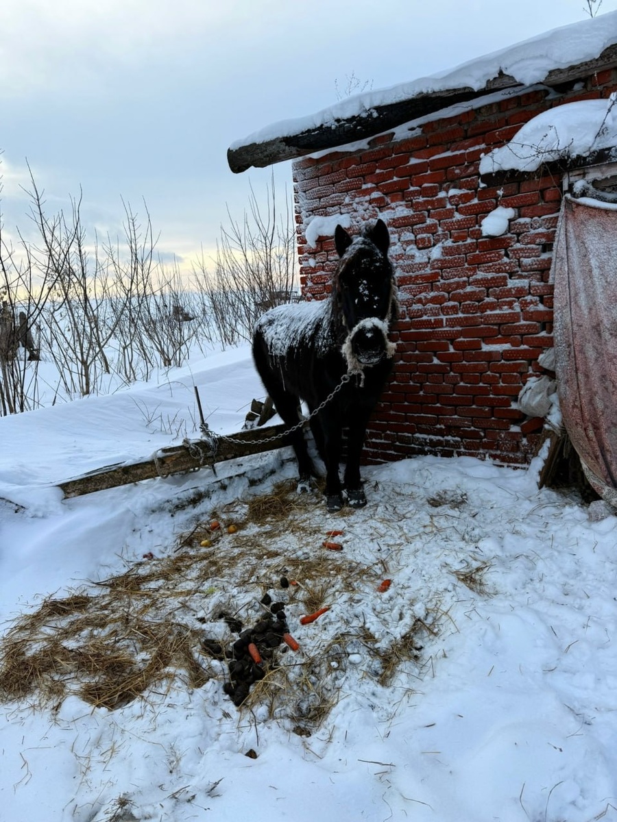 -2
