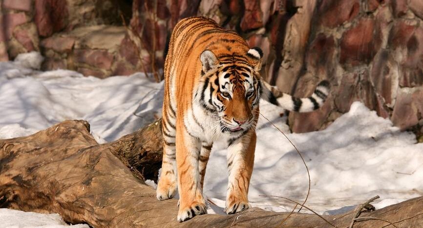    Щеголева Ольга / Фотобанк Лори