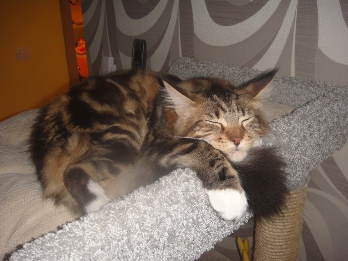 Личное фото