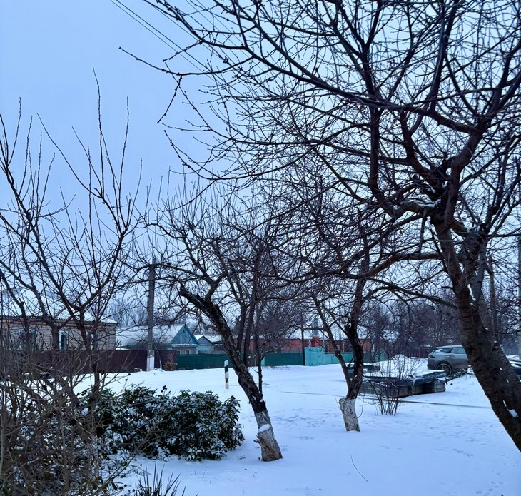    природа, зима Редакция Газеты