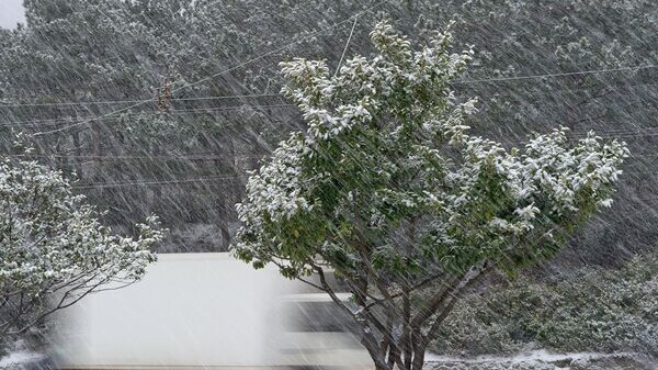    © РИА Новости . Сергей Мальгавко