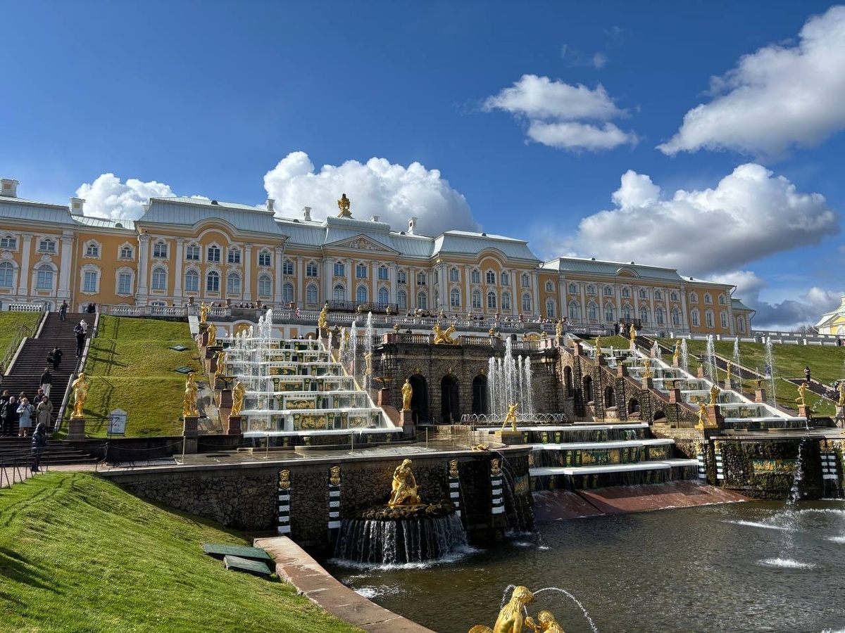 Фото: Neva.Today