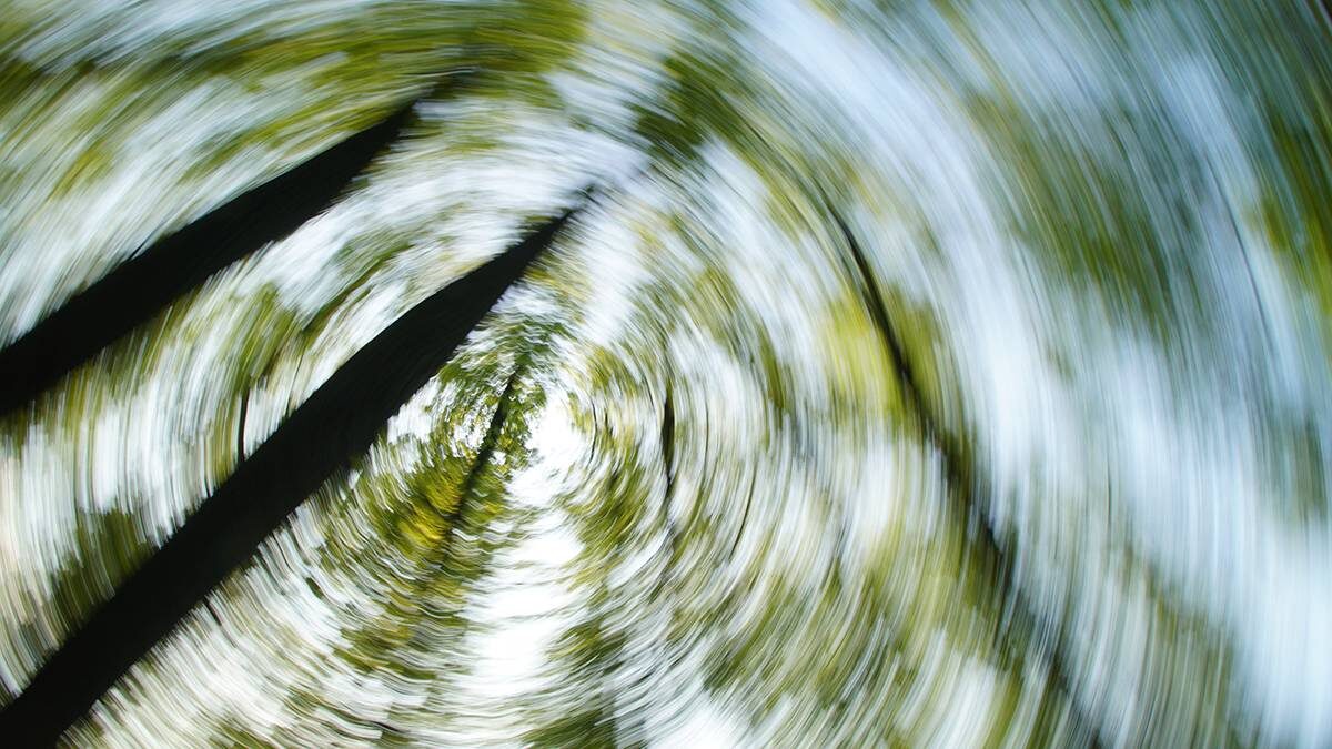    Фото: Анатолий Цымбалюк / Вечерняя Москва