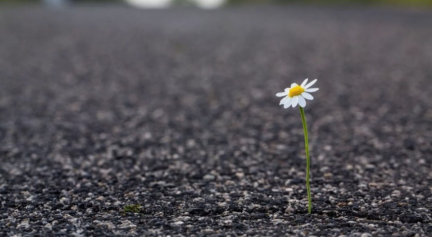 Хочу стать лучшей версией себя: список моих внутренних настроек