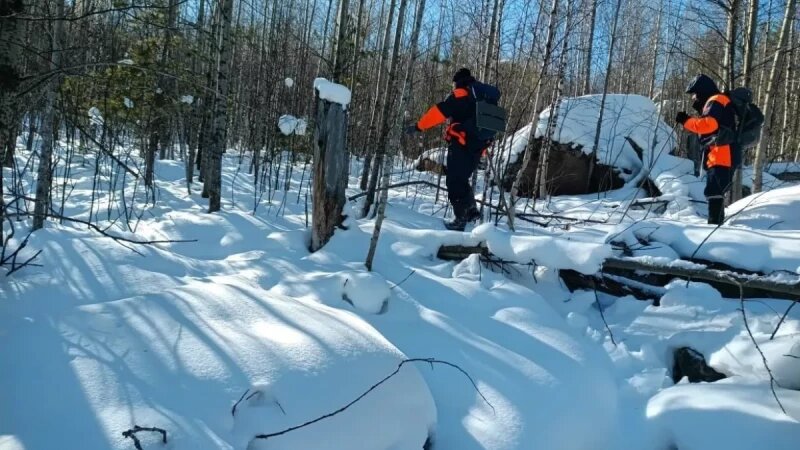     Место поисков семьи Усольцевых. КГКУ «Спасатель»