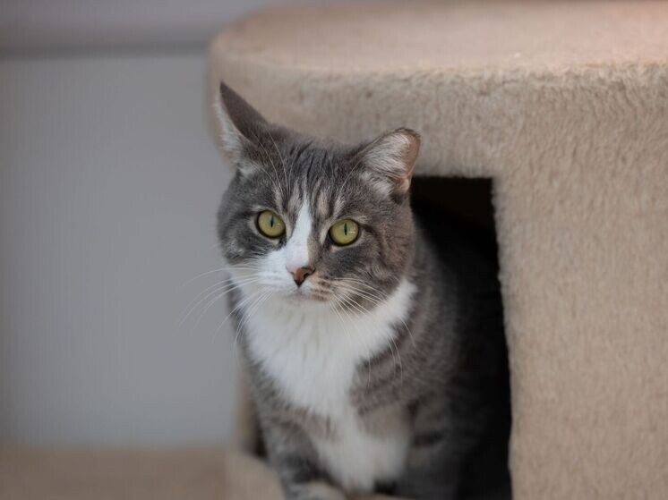     Фото: Юлия Чудинова/«Ямал-Медиа»