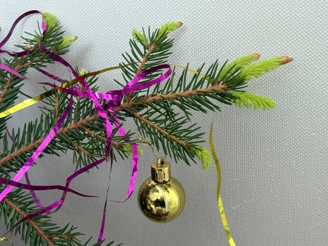    Елена Пертунен