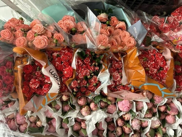     Фото: пресс-служба Северо-Западного межрегионального управления Россельхознадзора.