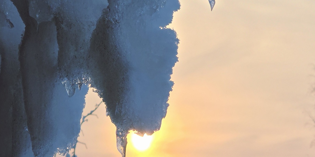 Расшифровка онкоцитологии: LSIL и ВПЧ. Тактика наблюдения и ведения.