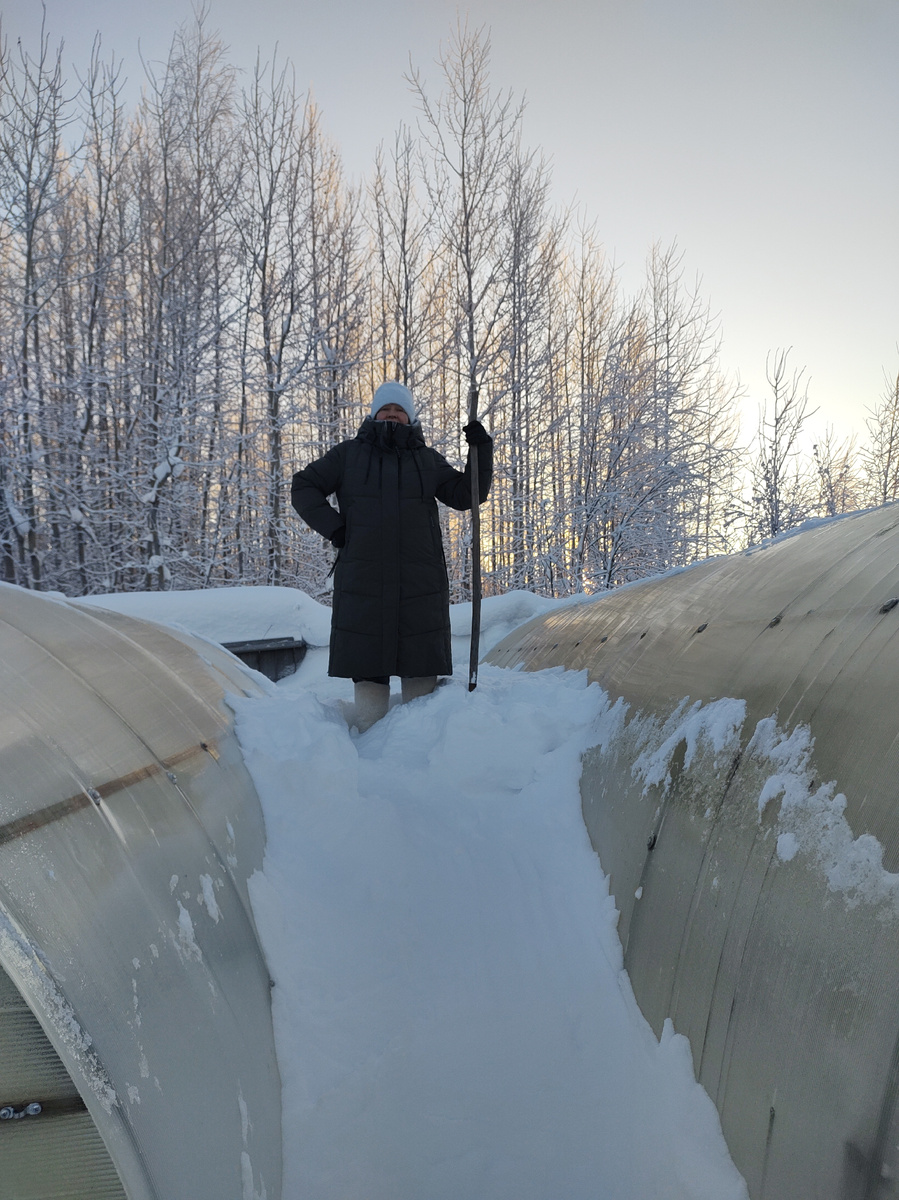 Как вам? Фото автора 