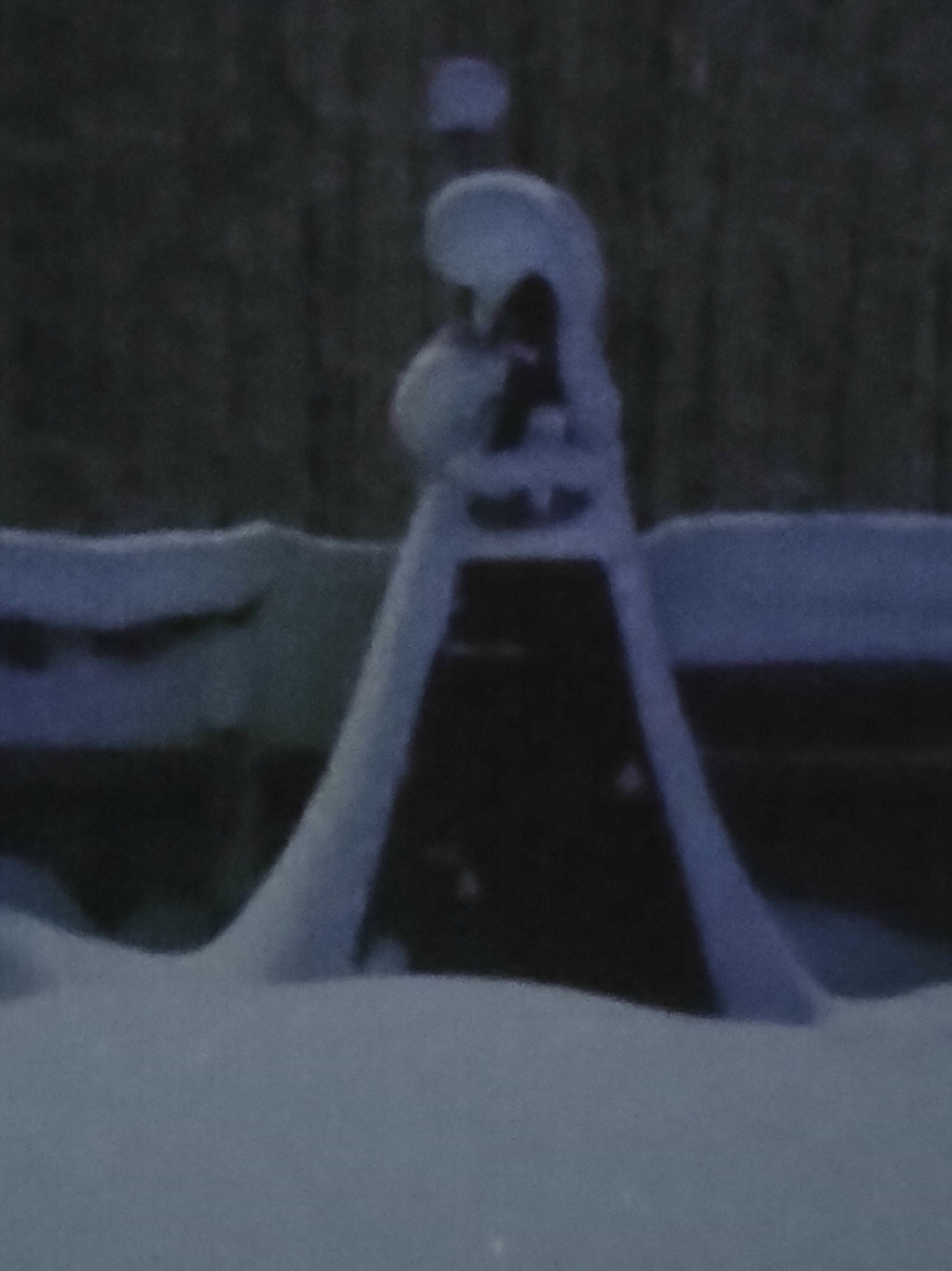 Это ночная съёмка