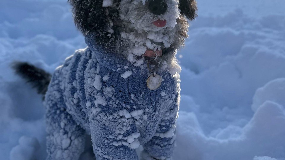 Безопасная прогулка в морозы.
