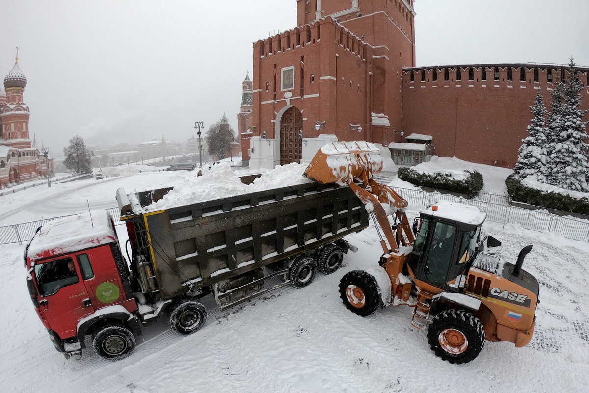    Сергей Михеев/РГ