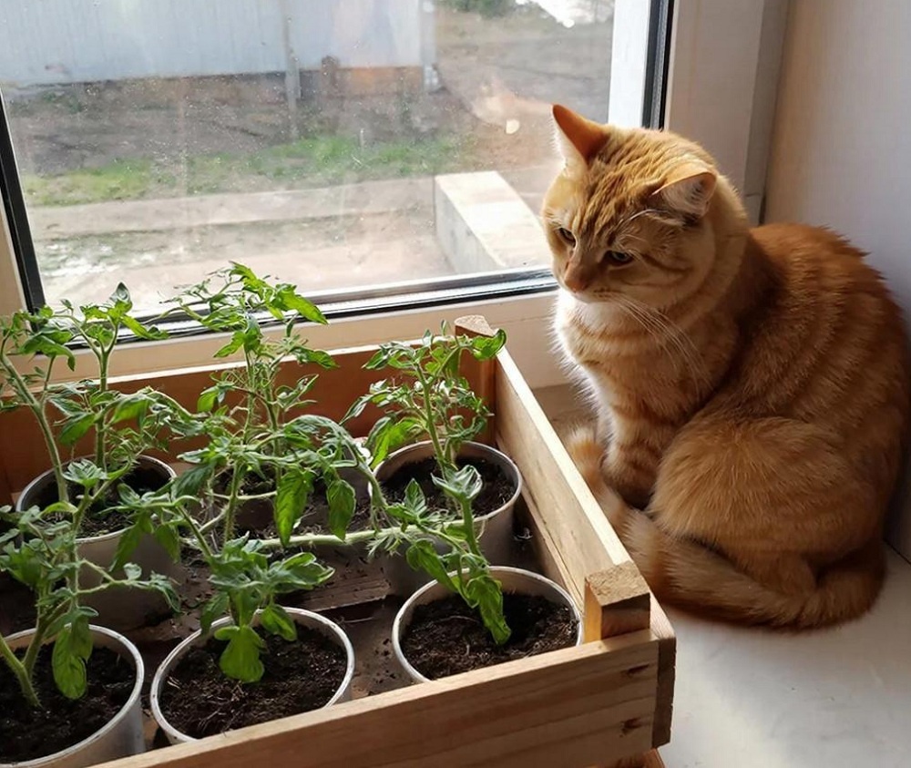 Фото: сгенерировано ИИ ГигаЧат