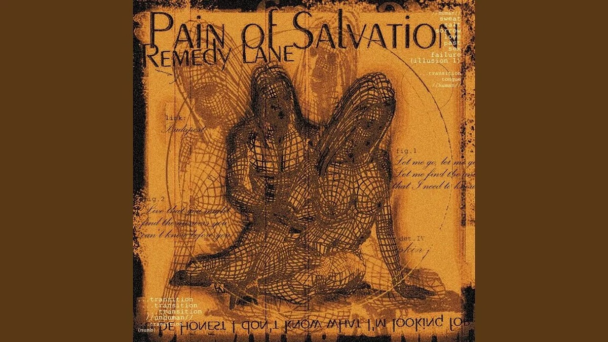 Обложка четвертого альбома Pain of Salvation - Remedy Lane(2002).