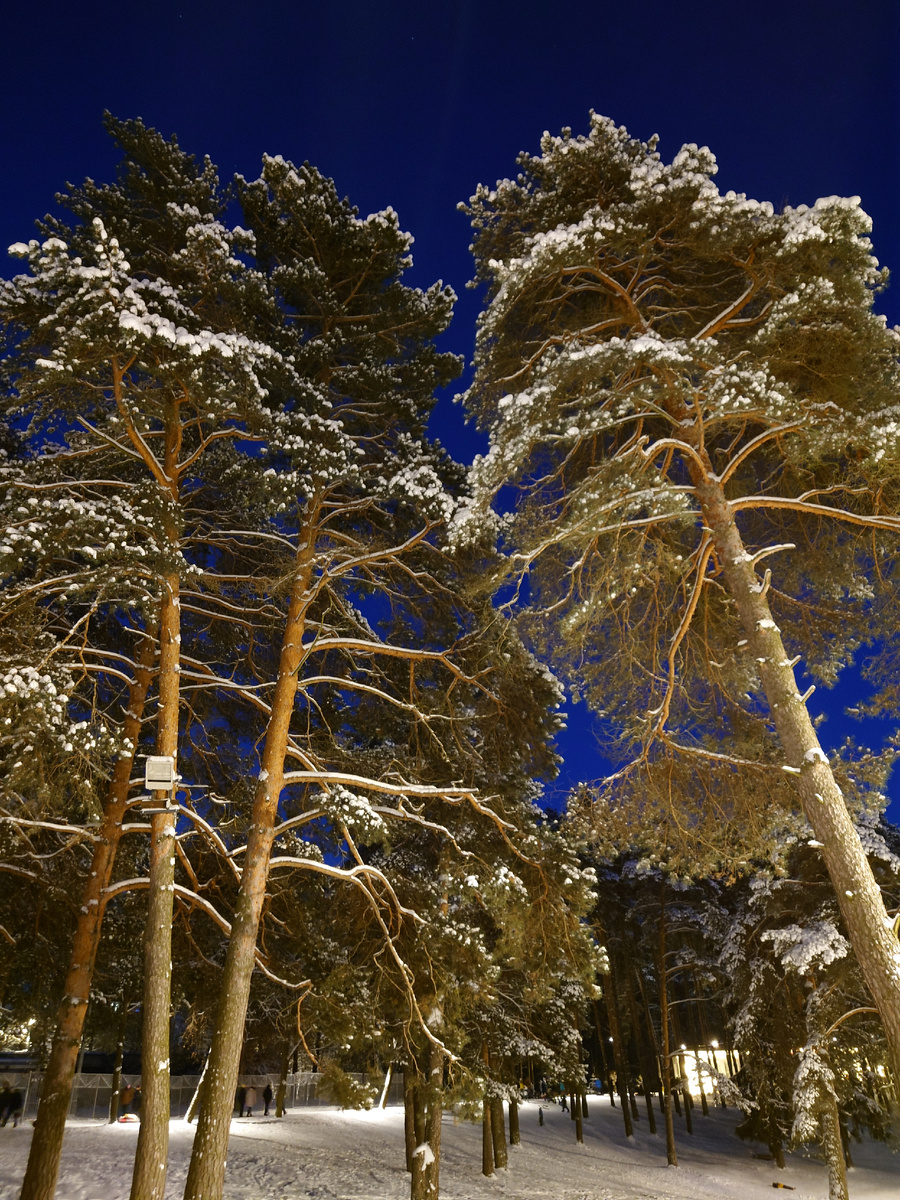 Зима в Жуковском