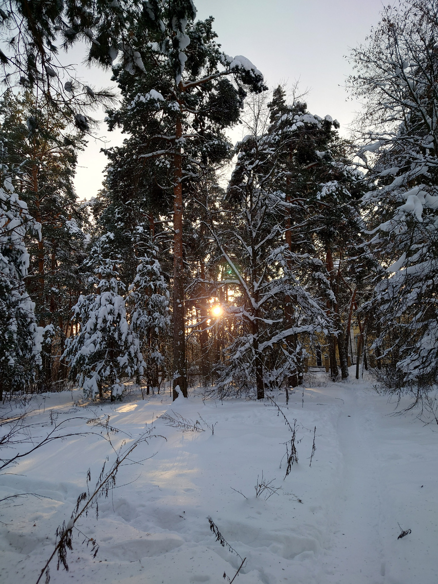 Зимнее солнце
