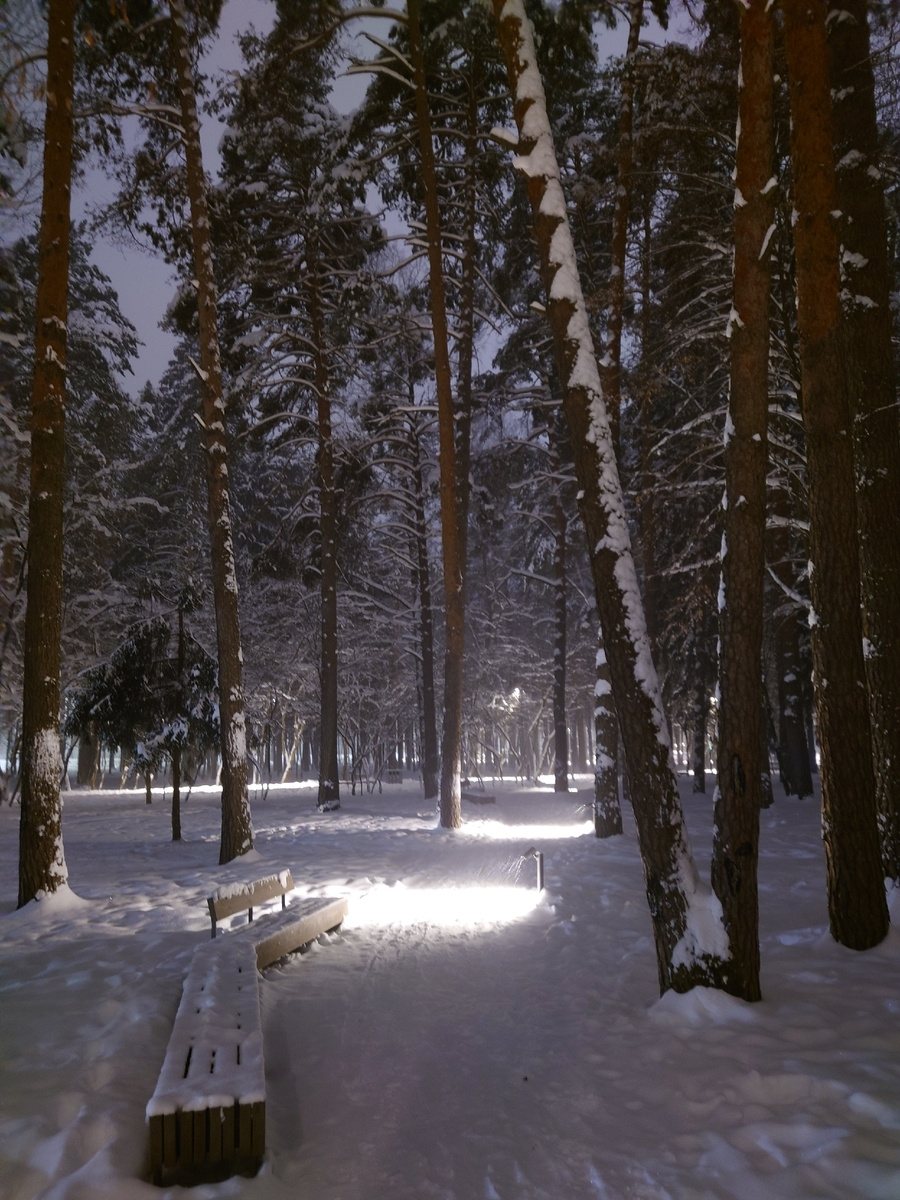 Снежная дорожка в парке