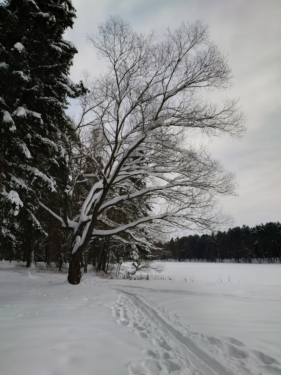 Вид на озеро