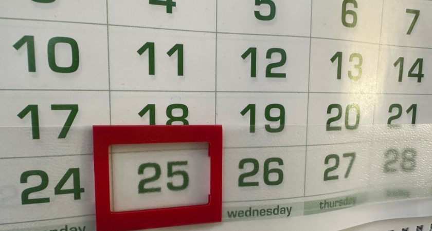    Автор фото — Анастасия Козлова