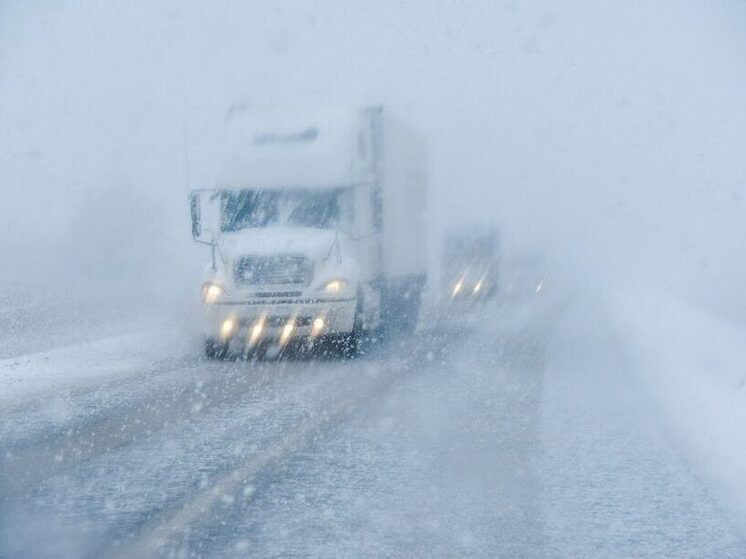     © Фото: ИД «Волгоградская правда» / архив.
