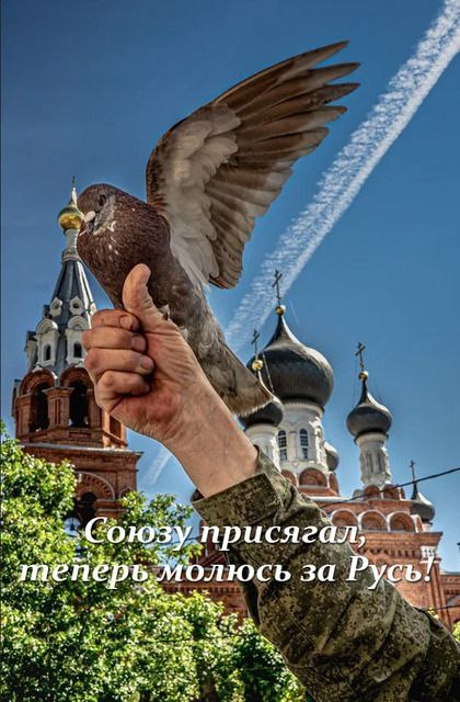 Любимый гуль 😪 на фоне любимого Храма ❤ 20.06.20