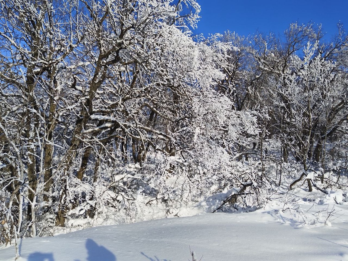 Зимняя сказка!