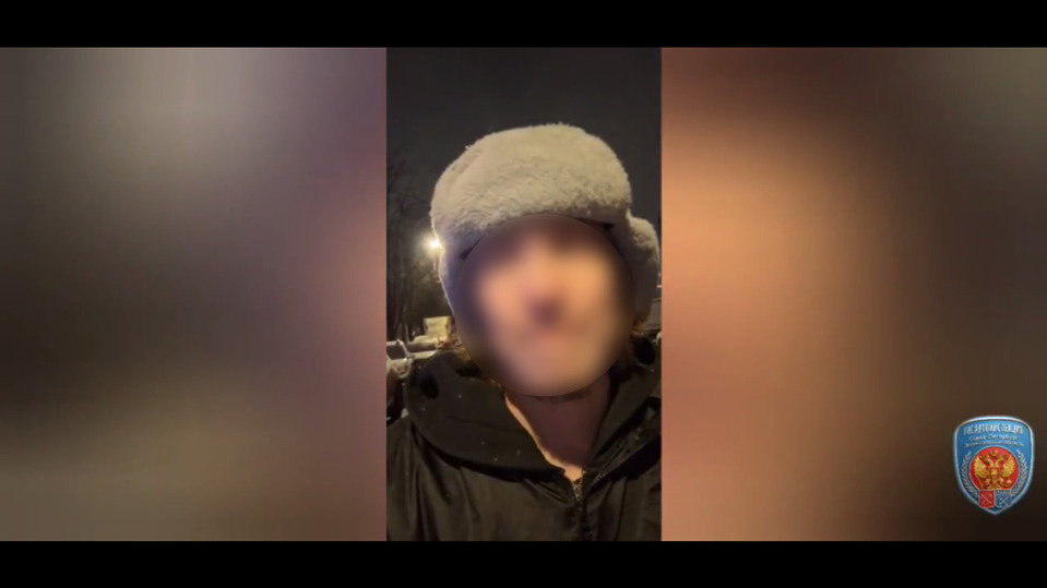     Фото: Официальный канал Управления Государственной инспекции безопасности дорожного движения по г.Санкт-Петербургу и Ленинградской области в телеграме.