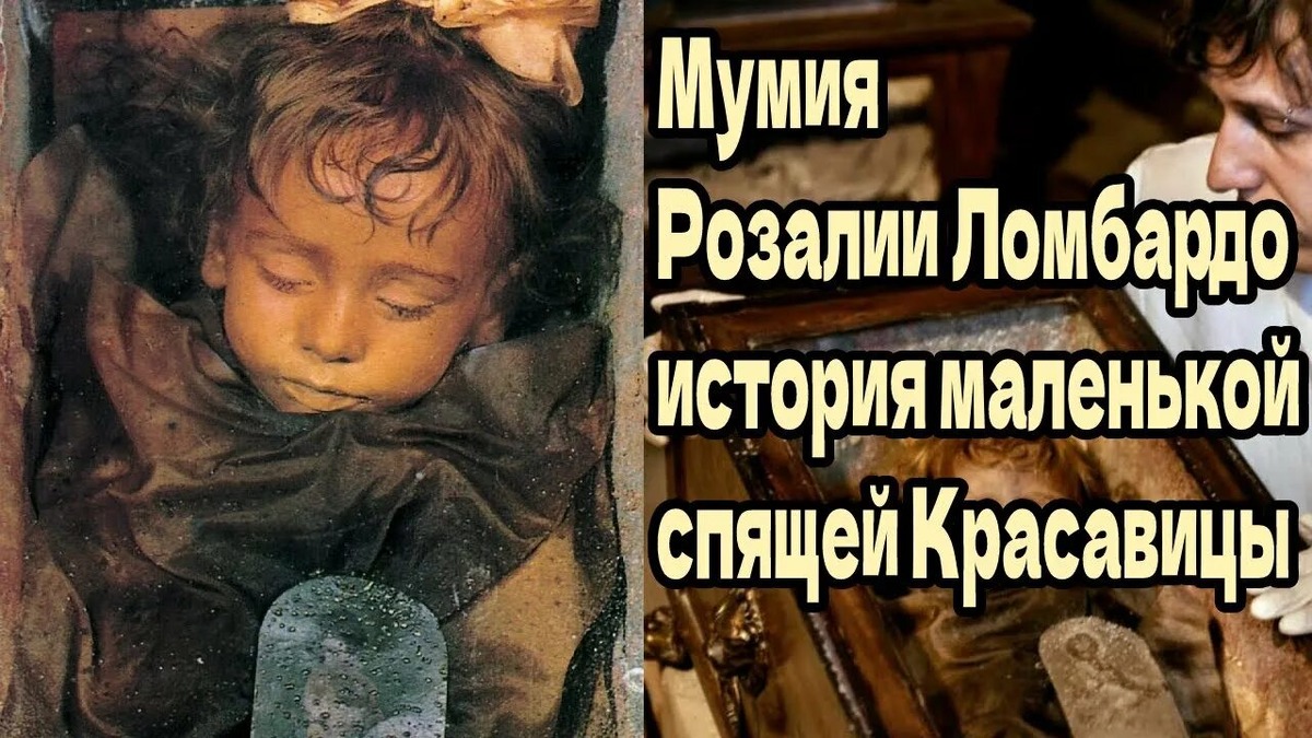 Источник: Яндекс картинки