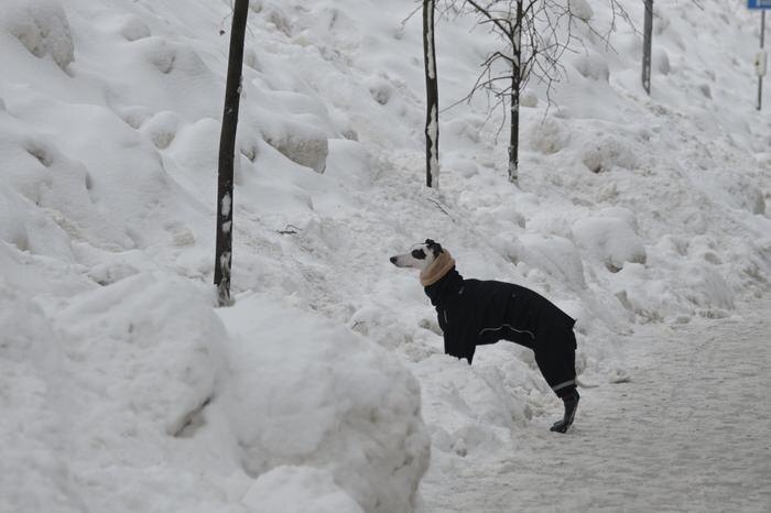Обложка © Life.ru