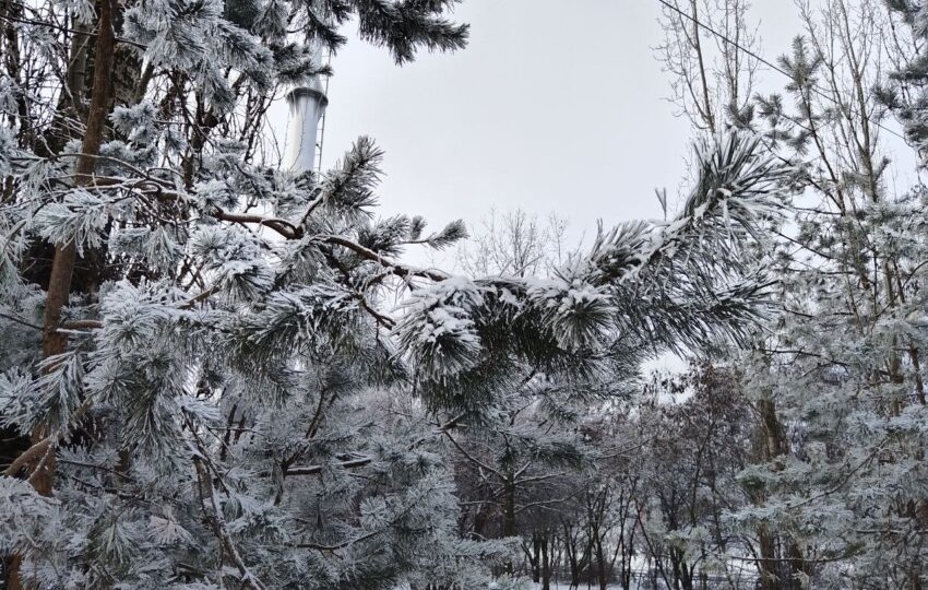 В Москве наступил самый холодный день с начала зимы, сообщил синоптик Леус