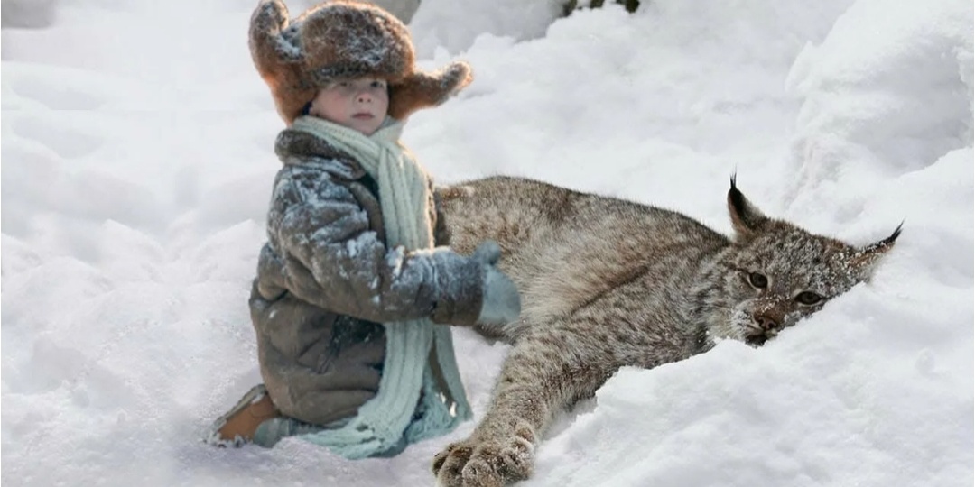 Дети принесли домой котёнка. А он оказался рысью