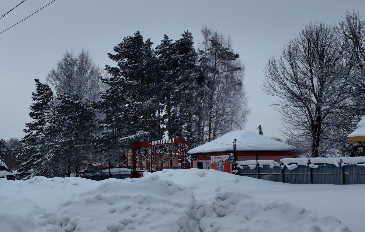 Александр Алтурин/ ТАСС