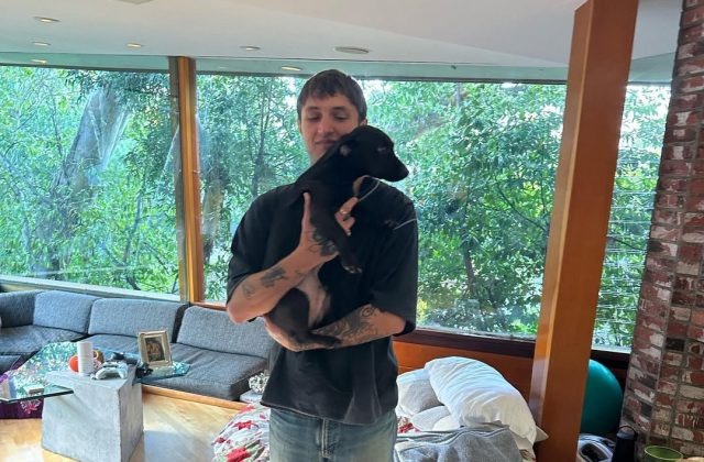    Декстер и Анвар Хадид. Фото: @anwarhadid (Instagram*)