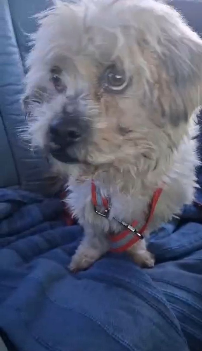 Первые секунды в безопасности.