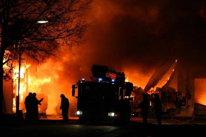 Обложка © Shutterstock / FOTODOM / VanderWolf Images