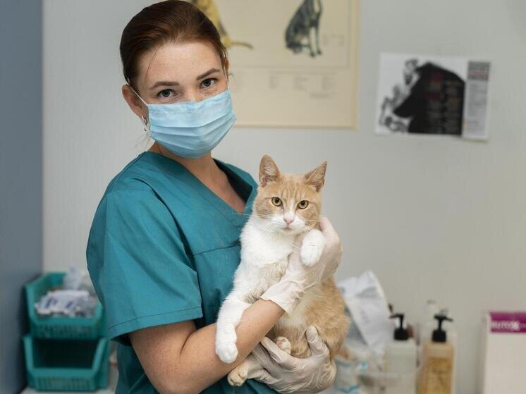     Источник: FreePik