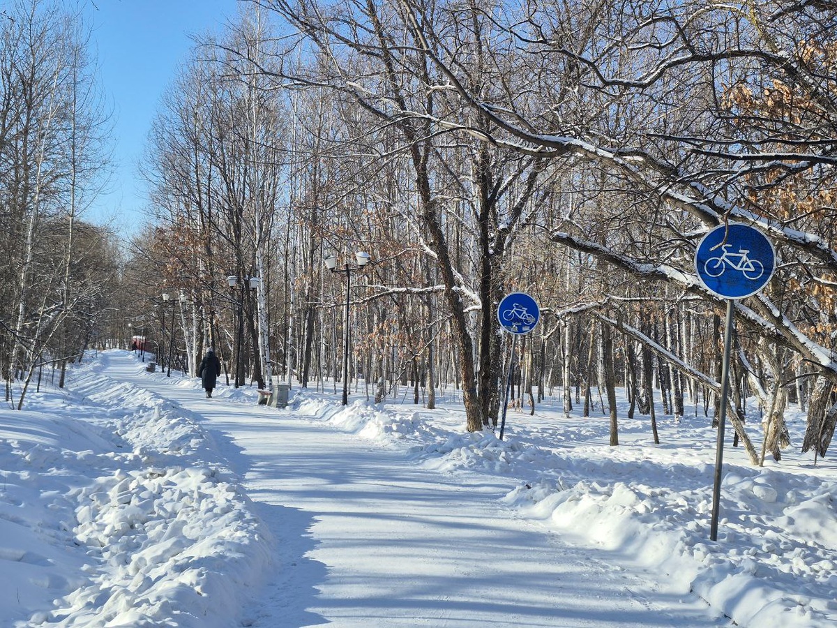 Парк "Северный"