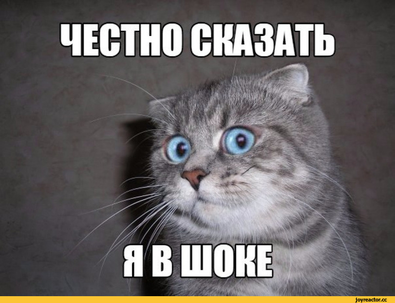 картинка из интернета